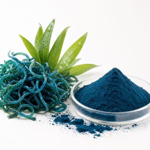 Alga azul
