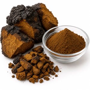 Chaga