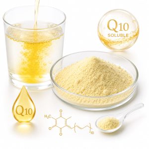 Coenzima Q10 soluble