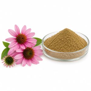 Echinacea purpurea 4%