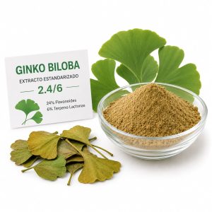 Ginko biloba 2.4/6