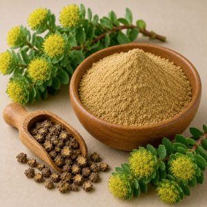 Rhodiola rosea